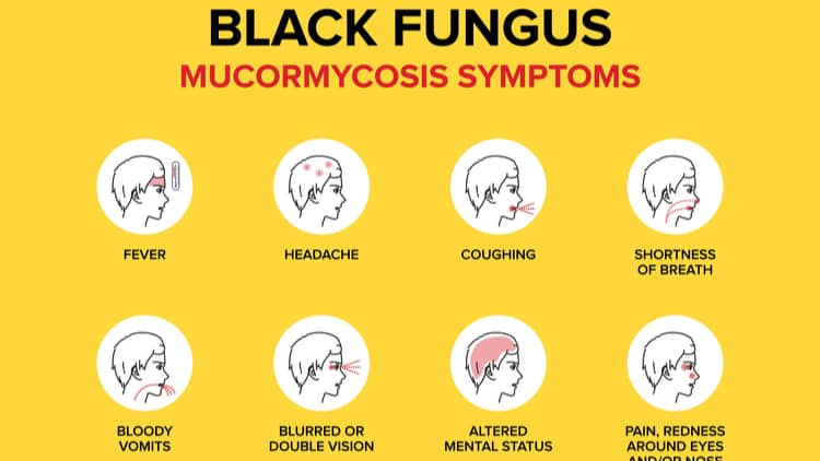 What is the Black Fungus all about? What is the Black Fungus all about?