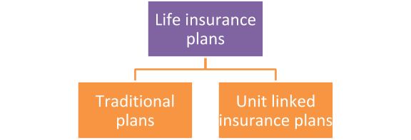 Life insurance plans