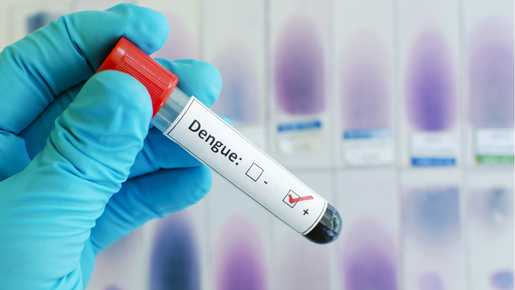 Why to buy a dengue insurance cover? Why to buy a dengue insurance cover?