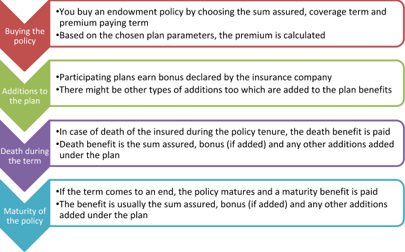 endowment policy